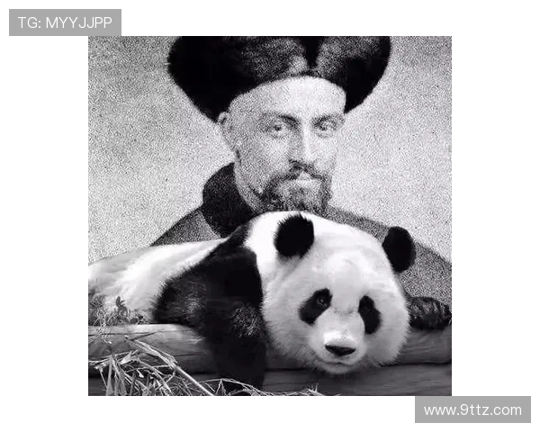 德国足球明星熊猫的传奇故事与绿茵场上的精彩瞬间